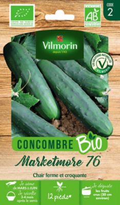 Graines de concombre bio variété "Marketmore 76" Vilmorin semis de mars à juin