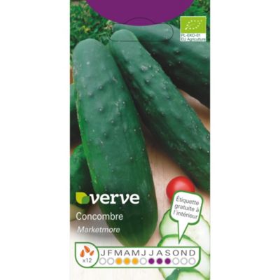 Graines de concombre bio variété "Marketmore" Verve semis de mars à mai