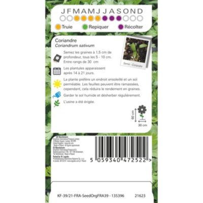 Graines de coriande bio variété "Coriandre" Verve semis de mars à juin