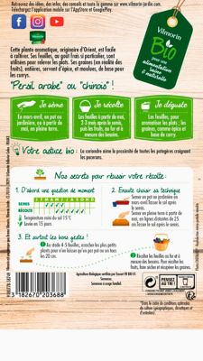 Graines de coriande bio variété "Cultivée" Vilmorin semis de mars à juin