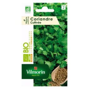 Graines de coriande bio variété "Cultivée" Vilmorin semis de mars à juin