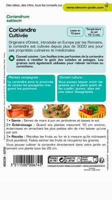 Graines de coriande variété "Cultivée" Vilmorin semis de mars à juin