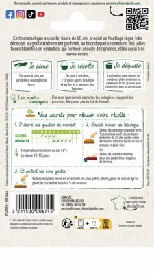Graines de coriande variété "Cultivée" Vilmorin semis de mars à juin