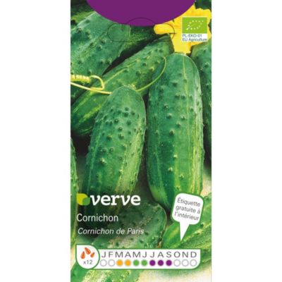 Graines de cornichon bio variété "Cornichon de Paris" Verve semis de mars à avril