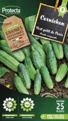 Graines de cornichon variété "Vert Petit de Paris" Protecta semis de mars à juin