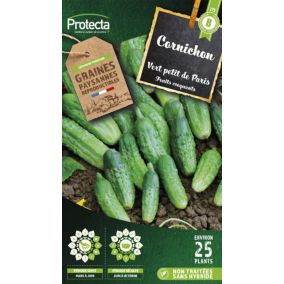 Graines de cornichon variété "Vert Petit de Paris" Protecta semis de mars à juin