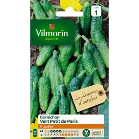 Graines de cornichon variété "Vert Petit de Paris" Vilmorin semis de mars à juin