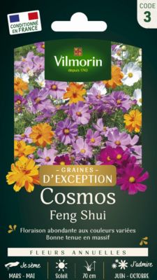 Graines de Cosmos Feng Shui Vilmorin