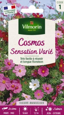 Graines de Cosmos Sensation mix Vilmorin