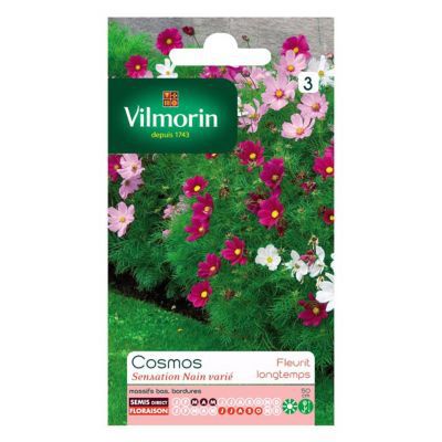 Graines de Cosmos Sensation Nain Vilmorin