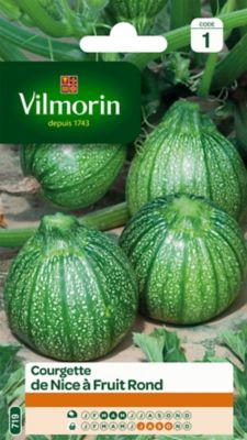 Vilmorin Graines de Légumes Courgette Verte Petite d'Alger, 5 g