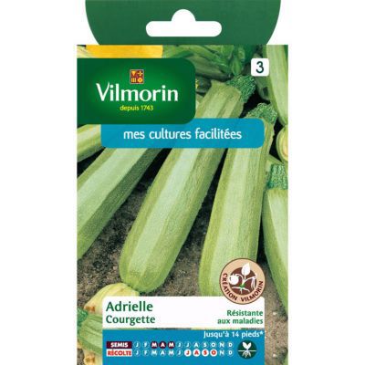Graines de courgette variété "Adrielle" Vilmorin semis de mars à mai
