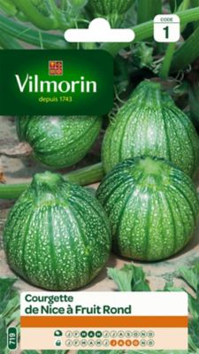 Graines de courgette variété "Nice à fruit rond" Vilmorin semis de mars à mai