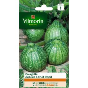 Graines de courgette variété "Nice à fruit rond" Vilmorin semis de mars à mai