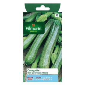 Graines de courgette variété "Non coureuse d'Italie" Vilmorin semis de mars à mai