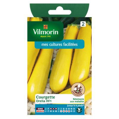 Graines de courgette variété "Orelia HF1" Vilmorin semis de mars à mai