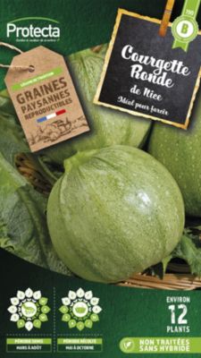 Graines de courgette variété "Ronde de Nice" Protecta semis de mars à août