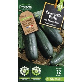 Graines de courgette variété "Verte des maraîchers" Protecta semis d'avril à juin