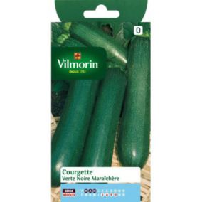 Graines de courgette variété "Verte Noire Maraîchère" Vilmorin semis de mars à mai