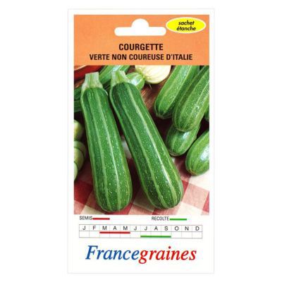 Graines De Courgette Verte Non Coureuse D Italie Castorama