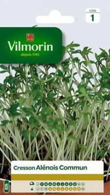 Graines de cresson variété "Alénois commun" Vilmorin semis de février à octobre