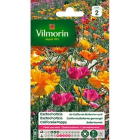 Graines de Eschscholtzia Ballerine varié Vilmorin