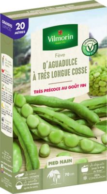 Graines de fève variété "Aguadulce" Vilmorin semis de février à mars et octobre à novembre