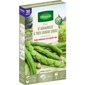 Graines de fève variété "Aguadulce" Vilmorin semis de février à mars et octobre à novembre