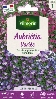 Graines de fleurs Aubriétia Varié Vilmorin