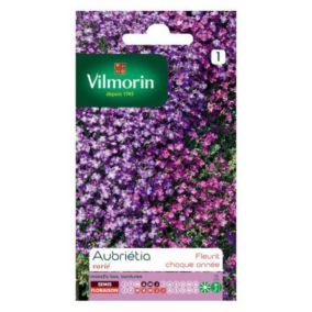 Graines de fleurs Aubriétia Varié Vilmorin