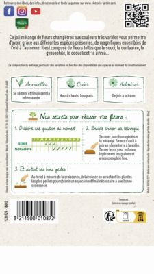 Graines de Fleurs en Mélange pour Bouquets Champêtres Vilmorin