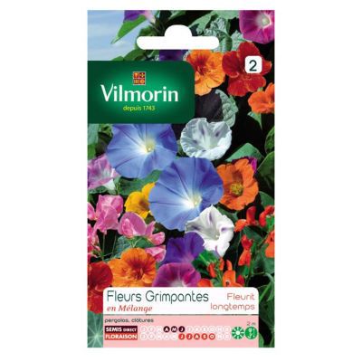 Graines de Fleurs Grimpantes en Mélange