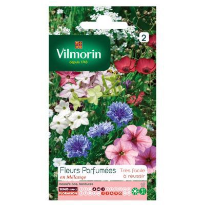 Graines de Fleurs Parfumées en Mélange