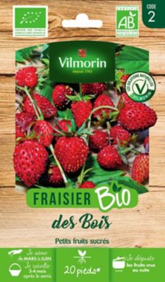 Graines de fraisier bio, 20 pièces, Vilmorin
