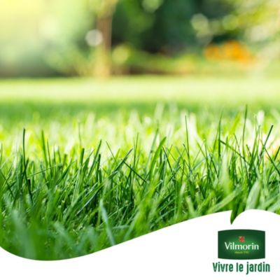 Graines de gazon 7 jours Vilmorin 1kg