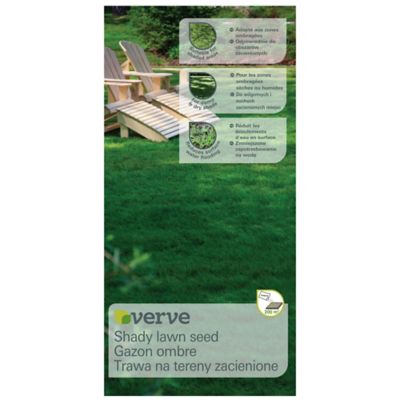Graines de gazon zone ombre Verve 5kg
