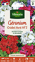 Graines de Géranium Cricket Varié Vilmorin