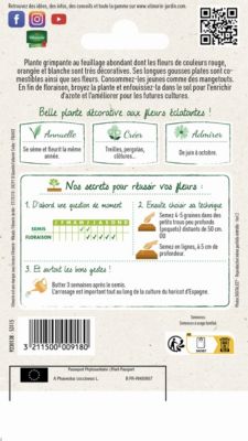 Graines de Haricot d'Espagne varié Vilmorin