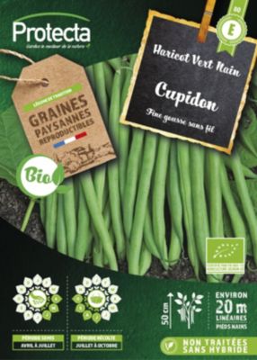 Graines D'Haricot Nain Rugally - Lot De 50 Graines - Variété Sans Fil, Productive, Résistante à La Chaleur - Garantie Germination