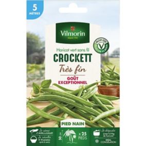 Graines de haricot nain variété "Crockett" Vilmorin semis d'avril à juillet