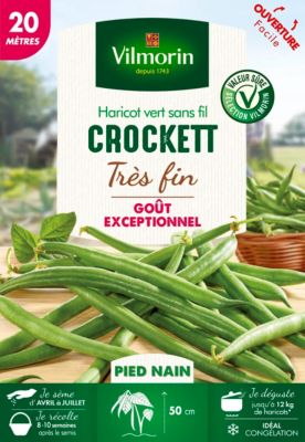 Graines de haricot nain variété "Crockett" Vilmorin semis d'avril à juillet
