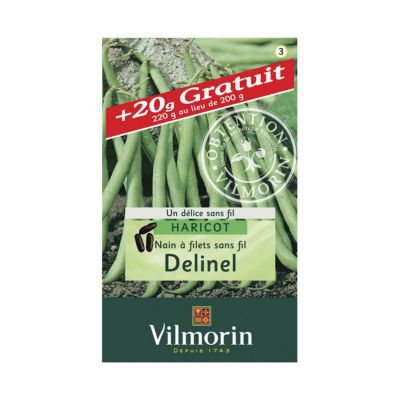 Graines de haricot nain variété "Delinel" Vilmorin semis d'avril à juillet