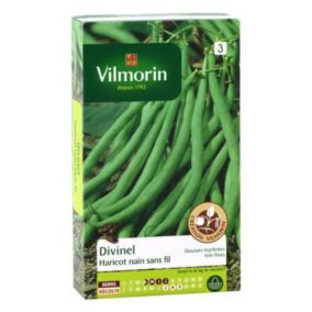 Graines de haricot nain variété "Divinel" Vilmorin semis d'avril à juillet