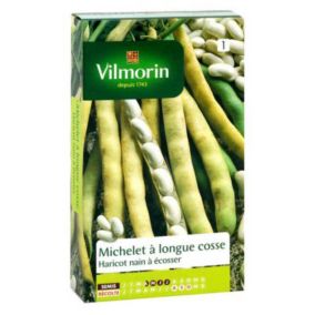 Graines de haricot nain variété "Michelet à longue cosse" Vilmorin semis d'avril à juillet