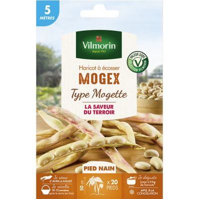 VILMORIN Haricot Crockett 20 M – Variété Précoce Très Résistante, Gousses Fines Vert Foncé, Goût Exceptionnel, Idéal Congélation