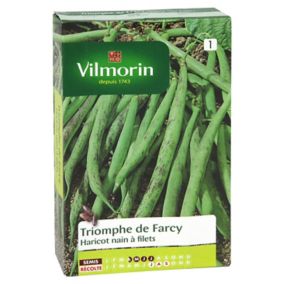 Graines de haricot nain variété "Triomphe de Farcy" Vilmorin semis d'avril à juillet