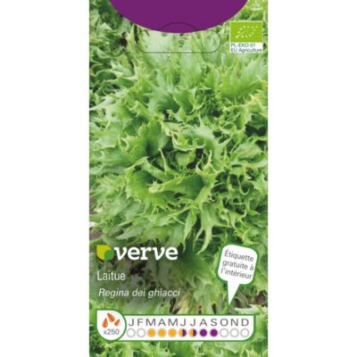 Graines de laitue bio variété "Regina dei Ghiacci" Verve semis de mars à juillet