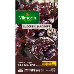 Graines de laitue variété "Grenadine" Vilmorin semis de février à juillet