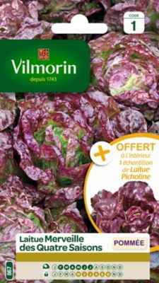Graines de laitue variété "Merveille des quatre saisons" Vilmorin semis de février à juillet