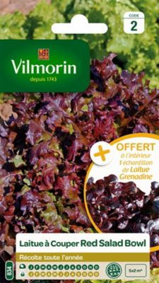 Graines de laitue variété "Red salad bowl" Vilmorin semis toute l'année